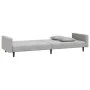 Sofá cama de 2 plazas con dos almohadas terciopelo gris claro de , Sofás - Ref: Foro24-375918, Precio: 258,36 €, Descuento: %