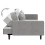 Sofá cama de 2 plazas con dos almohadas terciopelo gris claro de , Sofás - Ref: Foro24-375918, Precio: 258,36 €, Descuento: %