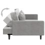 Sofá cama de 2 plazas con dos almohadas terciopelo gris claro de , Sofás - Ref: Foro24-375918, Precio: 271,84 €, Descuento: %
