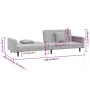Sofá cama de 2 plazas con dos almohadas terciopelo gris claro de , Sofás - Ref: Foro24-375918, Precio: 258,36 €, Descuento: %