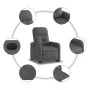 Sillón eléctrico reclinable elevable de tela gris oscuro de , Sillones - Ref: Foro24-3206814, Precio: 319,08 €, Descuento: %