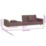 Sofá cama de 2 plazas con dos almohadas tela gris taupe de , Sofás - Ref: Foro24-375908, Precio: 296,41 €, Descuento: %