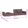 Sofá cama de 2 plazas con dos almohadas tela gris taupe de , Sofás - Ref: Foro24-375908, Precio: 301,44 €, Descuento: %