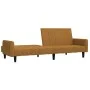 Sofá cama de 2 plazas terciopelo marrón de , Sofás - Ref: Foro24-375782, Precio: 268,28 €, Descuento: %