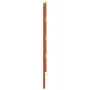 Bettkopfteil aus massivem Kiefernholz in Wachsbraun, 90 cm von , Kopf- und Fußteile - Ref: Foro24-844442, Preis: 33,63 €, Rab...