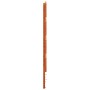 Cabecero de cama madera maciza de pino marrón cera 90 cm de , Cabeceros y pies de cama - Ref: Foro24-844442, Precio: 33,98 €,...