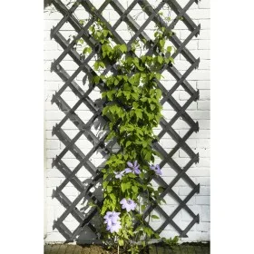 Nature Enrejado de jardín madera gris antracita 50x150 cm by , Pergolas, arches and garden trellises - Ref: Foro24-447508, Pr...