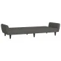 Sofá cama de 2 plazas terciopelo gris oscuro de , Sofás - Ref: Foro24-375859, Precio: 269,36 €, Descuento: %