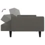 Sofá cama de 2 plazas terciopelo gris oscuro de , Sofás - Ref: Foro24-375859, Precio: 269,36 €, Descuento: %