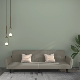 Sofá cama de 2 plazas terciopelo gris claro de , Sofás - Ref: Foro24-375858, Precio: 271,49 €, Descuento: %