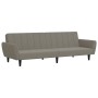 Sofá cama de 2 plazas terciopelo gris claro de , Sofás - Ref: Foro24-375858, Precio: 271,49 €, Descuento: %