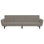 Sofá cama de 2 plazas terciopelo gris claro de , Sofás - Ref: Foro24-375858, Precio: 267,17 €, Descuento: %