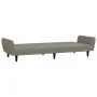 Sofá cama de 2 plazas terciopelo gris claro de , Sofás - Ref: Foro24-375858, Precio: 267,17 €, Descuento: %