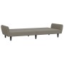 Sofá cama de 2 plazas terciopelo gris claro de , Sofás - Ref: Foro24-375858, Precio: 271,49 €, Descuento: %
