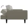 Sofá cama de 2 plazas terciopelo gris claro de , Sofás - Ref: Foro24-375858, Precio: 267,17 €, Descuento: %