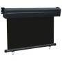 Toldo lateral de balcón negro 105x250 cm de , Sombrillas - Ref: Foro24-48412, Precio: 64,78 €, Descuento: %