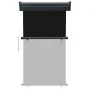 Toldo lateral de balcón negro 105x250 cm de , Sombrillas - Ref: Foro24-48412, Precio: 68,15 €, Descuento: %