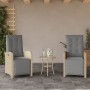 Sillón reclinable jardín reposapiés 2 uds ratán PE beige mezcla de , Sillas de jardín - Ref: Foro24-365197, Precio: 260,19 €,...