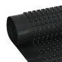 Lámina de drenaje nodular HDPE 400 g/m² 0,5x20 m de vidaXL, Aislamiento - Ref: Foro24-144946, Precio: 40,99 €, Descuento: %