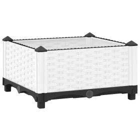 Arriate polipropileno 40x40x23 cm de , Maceteros y jardineras - Ref: Foro24-153304, Precio: 23,05 €, Descuento: %