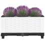 Arriate polipropileno 40x40x23 cm de , Maceteros y jardineras - Ref: Foro24-153304, Precio: 23,41 €, Descuento: %