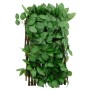 Enrejado expandible hiedra artificial verde 5 uds 180x30 cm de , Paneles de vallas - Ref: Foro24-366585, Precio: 58,38 €, Des...