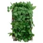Enrejado expandible hiedra artificial verde 5 uds 180x30 cm de , Paneles de vallas - Ref: Foro24-366585, Precio: 63,85 €, Des...