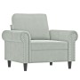 Sillón de terciopelo gris claro 60 cm de , Sofás - Ref: Foro24-359509, Precio: 171,34 €, Descuento: %