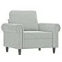 Sillón con taburete terciopelo gris claro 60 cm de , Sofás - Ref: Foro24-3201205, Precio: 213,17 €, Descuento: %