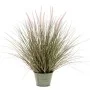 Emerald Artificial penissetum plant in zinc pot 58 cm by Emerald, artificial flora - Ref: Foro24-435932, Price: 38,10 €, Disc...