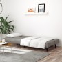 Sofá cama de 2 plazas terciopelo gris claro de , Sofás - Ref: Foro24-375926, Precio: 232,76 €, Descuento: %