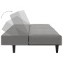 Sofá cama de 2 plazas terciopelo gris claro de , Sofás - Ref: Foro24-375926, Precio: 232,76 €, Descuento: %
