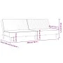 Sofá cama de 2 plazas terciopelo gris claro de , Sofás - Ref: Foro24-375926, Precio: 237,78 €, Descuento: %