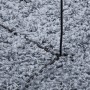 Alfombra peluda de pelo largo moderna PAMPLONA azul 160x230 cm de , Alfombras - Ref: Foro24-375325, Precio: 65,82 €, Descuent...