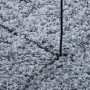 Alfombra peluda de pelo largo moderna PAMPLONA azul 160x230 cm de , Alfombras - Ref: Foro24-375325, Precio: 65,00 €, Descuent...