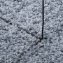 Alfombra peluda de pelo largo moderna PAMPLONA azul Ø 120 cm de , Alfombras - Ref: Foro24-375333, Precio: 40,18 €, Descuento: %