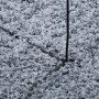 Alfombra peluda de pelo largo moderna PAMPLONA azul Ø 80 cm de , Alfombras - Ref: Foro24-375331, Precio: 23,30 €, Descuento: %