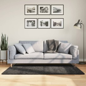 Alfombra peluda pelo largo moderna PAMPLONA antracita 80x150 cm de , Alfombras - Ref: Foro24-375185, Precio: 29,11 €, Descuen...