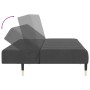 Sofá cama de 2 plazas terciopelo gris oscuro de , Sofás - Ref: Foro24-375875, Precio: 260,78 €, Descuento: %