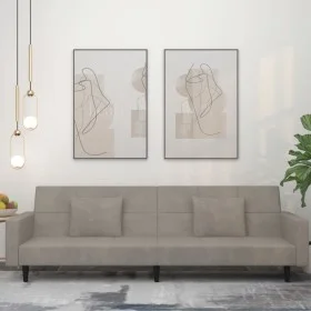 Sofá cama de 2 plazas con dos almohadas terciopelo gris claro de , Sofás - Ref: Foro24-375816, Precio: 277,94 €, Descuento: %