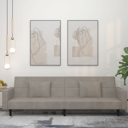 Sofá cama de 2 plazas con dos almohadas terciopelo gris claro de , Sofás - Ref: Foro24-375816, Precio: 282,83 €, Descuento: %