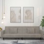 Sofá cama de 2 plazas con dos almohadas terciopelo gris claro de , Sofás - Ref: Foro24-375816, Precio: 282,83 €, Descuento: %