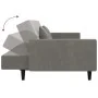 Sofá cama de 2 plazas con dos almohadas terciopelo gris claro de , Sofás - Ref: Foro24-375816, Precio: 277,94 €, Descuento: %