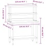 Mesa de trabajo para cocina con estante acero inox 110x55x150cm de , Restauración - Ref: Foro24-3208904, Precio: 292,37 €, De...