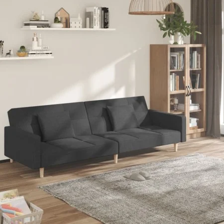 Sofá cama de 2 plazas con dos almohadas tela gris oscuro de , Sofás - Ref: Foro24-375800, Precio: 276,51 €, Descuento: %