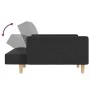 Sofá cama de 2 plazas con dos almohadas tela gris oscuro de , Sofás - Ref: Foro24-375800, Precio: 276,51 €, Descuento: %