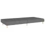 Sofá cama de 2 plazas tela gris claro de , Sofás - Ref: Foro24-375754, Precio: 244,03 €, Descuento: %
