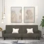 Dunkelgraues 2-Sitzer-Schlafsofa aus Samt von , Sofas - Ref: Foro24-375775, Preis: 274,40 €, Rabatt: %