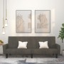 Sofá cama de 2 plazas terciopelo gris oscuro de , Sofás - Ref: Foro24-375775, Precio: 279,24 €, Descuento: %