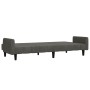 Sofá cama de 2 plazas terciopelo gris oscuro de , Sofás - Ref: Foro24-375775, Precio: 279,24 €, Descuento: %